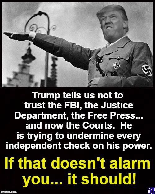 Trump-Hitler-Meme-from-Pinterest.jpg